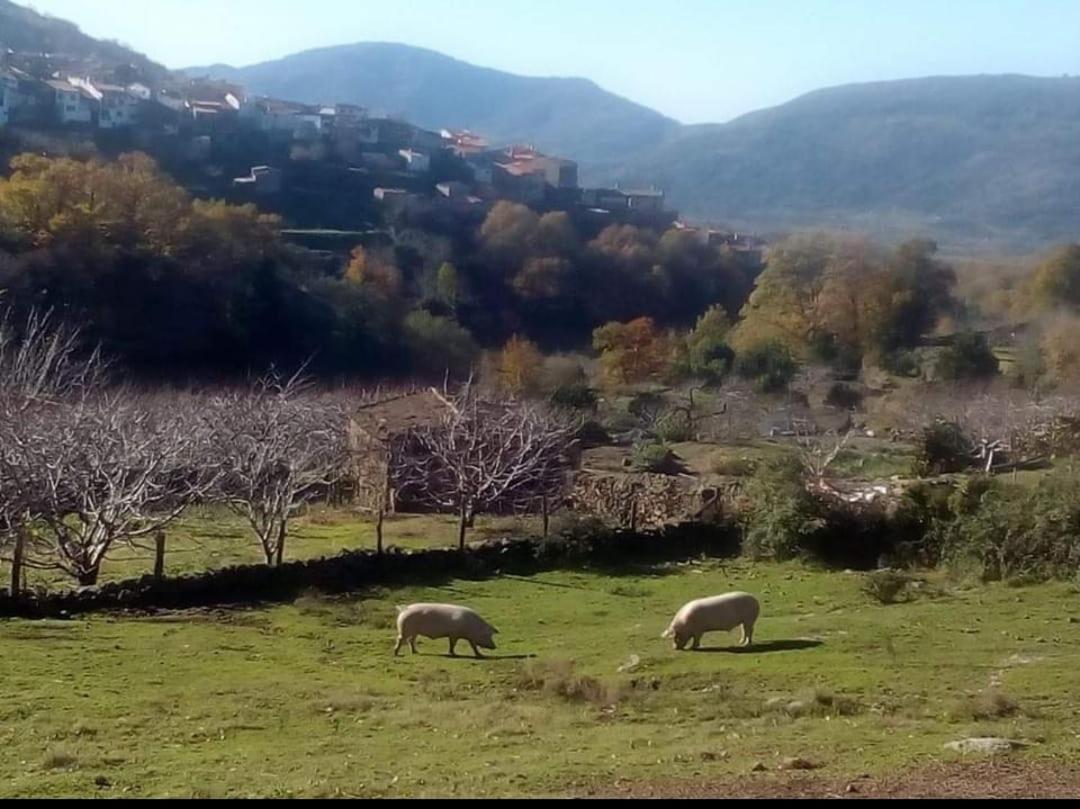 El Nido, Casa Rural Casas del Castañar Exteriér fotografie